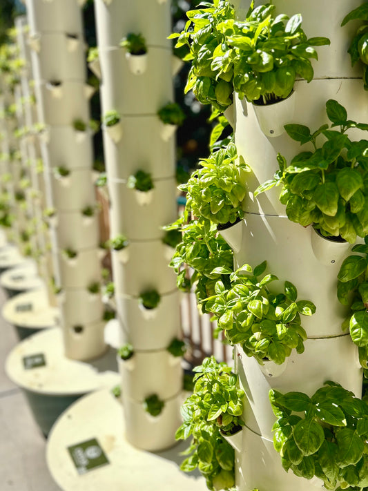 Hydroponic Towers