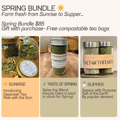 Spring Bundle